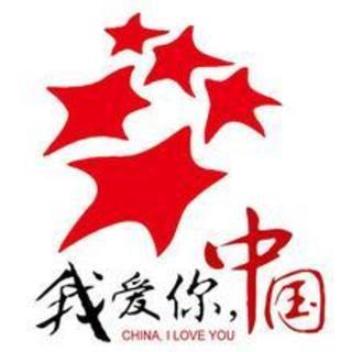 我爱你，中国！_450字