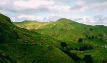 2020年2月《诗刊》读后感丨安子瑜