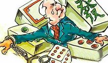 优秀作文《“碰”出生机，“撞”出自强》