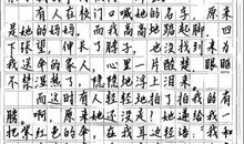 2009年上海市中考满分作文：和你们在一起_900字