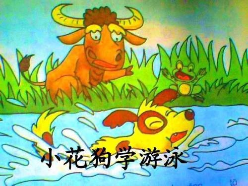 小花狗学游泳