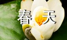 春天的校园初中作文