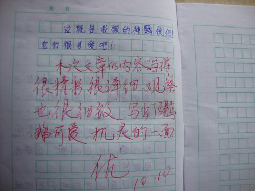 我与鹦鹉 我的鹦鹉1000字作文