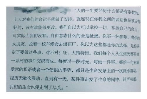 《知更鸟女孩》英语读后感_3000字