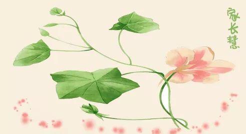 原创学生作文：《我们是国家未来守护者》
