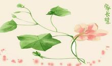 原创学生作文：《我们是国家未来守护者》