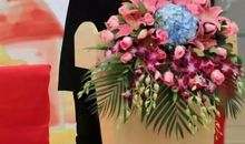 校园派 | “ 在家学习，怎样提高作文写作水平？”