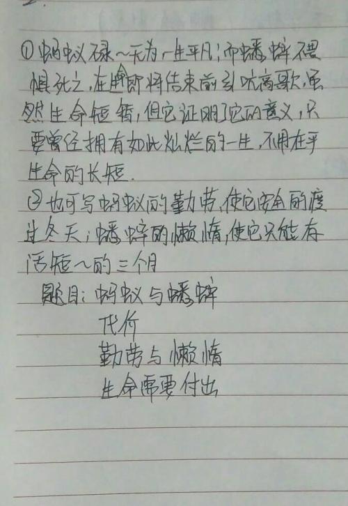 中秋节写事的作文500字左右