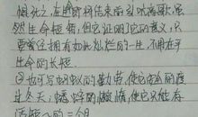 中秋节写事的作文500字左右