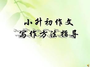 抒情作文的写作技巧_450字