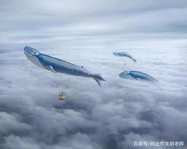想象作文怎么写?试试这五招