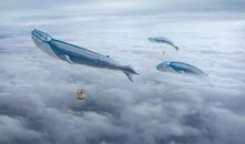 想象作文怎么写？试试这五招