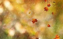 秋雨 秋天的雨600字作文