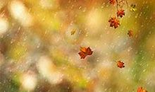 秋雨 秋天的雨600字作文