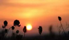 追求忘我的哲理故事