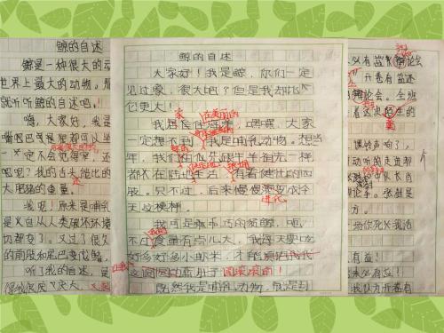 四年级学生优秀作文：我的校园