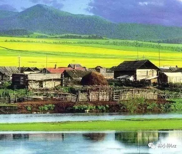 《梦随风万里》:112、《中国知青图书要目》读后感 8