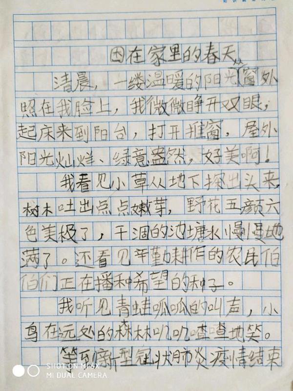 二年级写春天作文:《困在家里的春天》