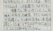 二年级写春天作文：《困在家里的春天》