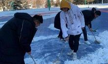 致亲爱的冰墩墩和雪容融-小学书信作文600字