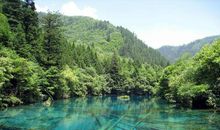 调查惊现，很多成年人写不出一篇60分的小学生作文，为什么