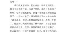 “圆”的联想 生活中的启示500字作文