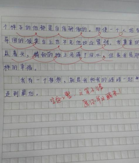 李易峰被初中生写进作文,老师的“评语”引起热议 4
