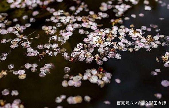 以前老发愁,从那次后,老师家长都夸这个女孩作文开了窍 3