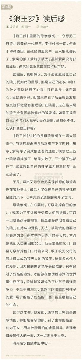 这样的坚持不后悔 《狼王梦》读后感700字