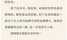 这样的坚持不后悔 《狼王梦》读后感700字