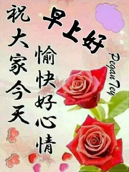 论早起_500字