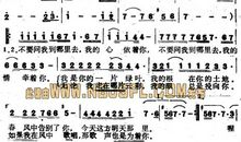 2009年浙江高考作文题：绿叶对根的情意读后感