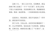 关于秋天的作文：秋游_650字