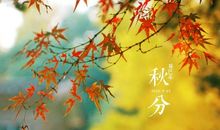 关于秋分的作文：秋分_800字