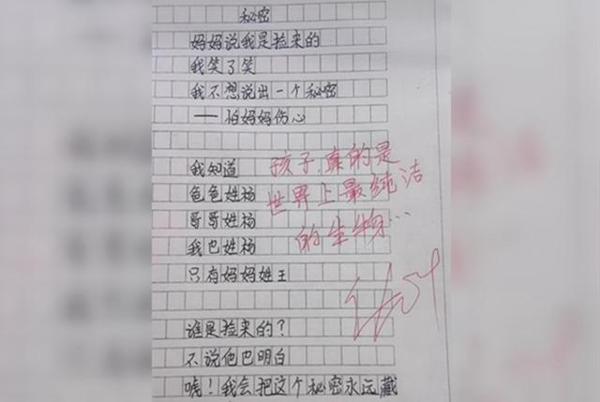 小学生满分作文走红网络,老师看完也自叹不如,表达能力太强了 1