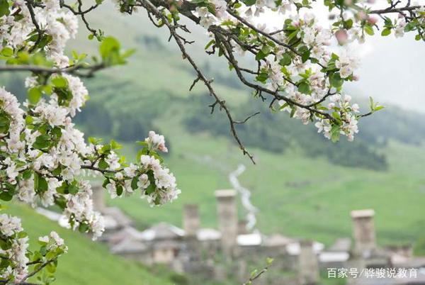 美丽作文：《乡村的春天》，乡村的春天，是一幅美丽画卷 2