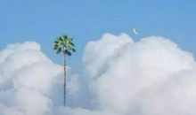 可以用在作文里的素材句子‖黑夜里，信仰月亮的人还在奔跑