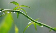 学生作文《走进春的深处》，写得棒极了！！！