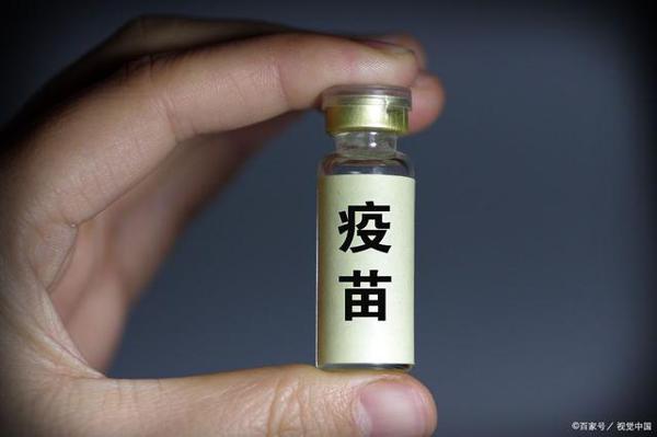 2020高考作文:命运共同体主题,高分作文,优美语言 4