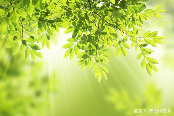 温暖作文:《成长中的那束光》,阳光只有一种颜色,那是爱的颜色 1
