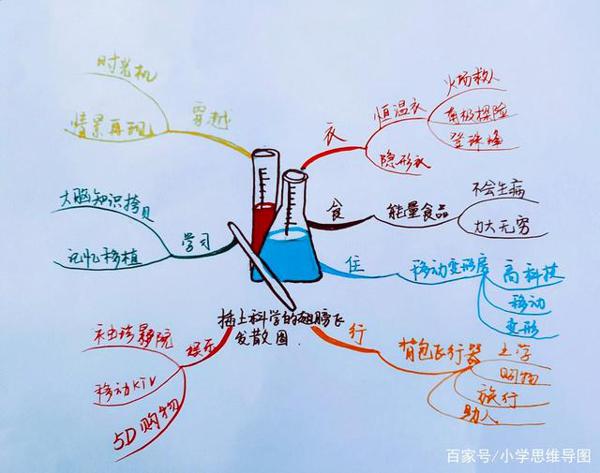 《插上科学的翅膀飞》——思维导图构思六年级下册下册作文!