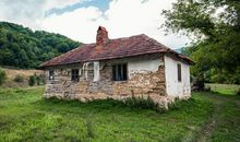 原创 河南中考满分作文：《心间那缕炊烟》