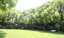 温暖作文：《成长中的那束光》，阳光只有一种颜色，那是爱的颜色