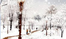 门外的雪景_350字