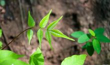 学生作文｜我心中的英雄