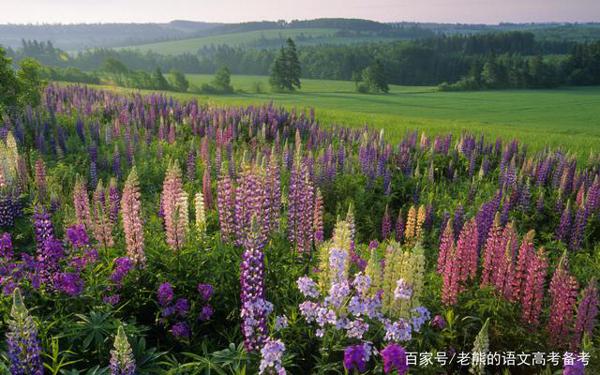 高考作文辅导100:接受拒绝也是人生之美 2