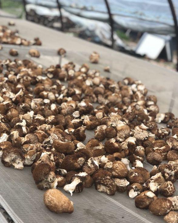 全景呈现:方正县首届稻作文化节盛大开幕! 47