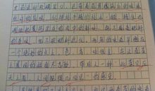 美丽的日照-描写家乡的作文600字