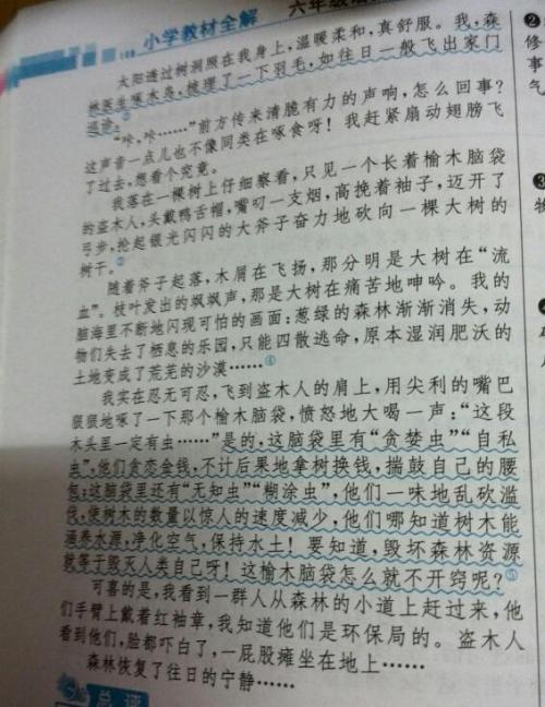 琴声让我敬佩的作文