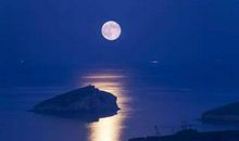 初二作文800字：月